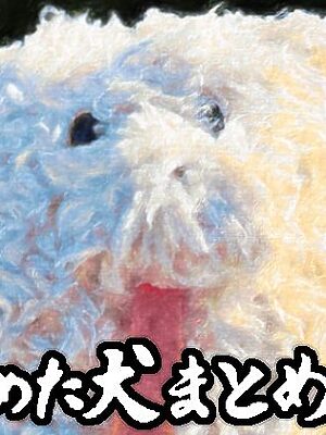 舐めた犬まとめ本