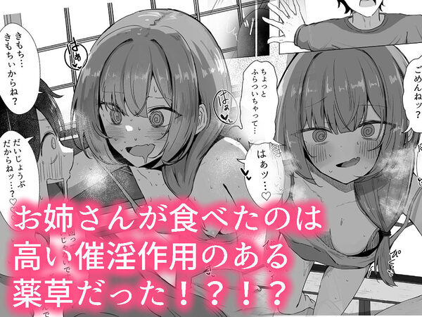 山菜テンプテーション  〜薬草で発情したちょっぴりMのお姉さんが止まってくれない。〜 画像3