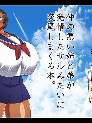 仲の悪い姉と弟が発情したサルみたいに交尾しまくる本。